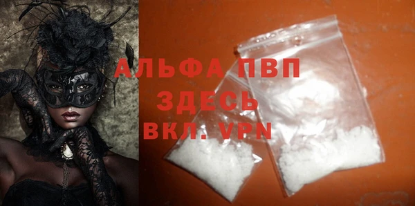 хмурый Арсеньев