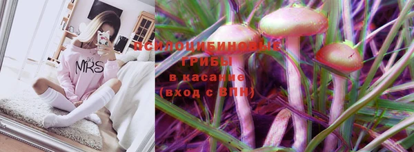 хмурый Арсеньев