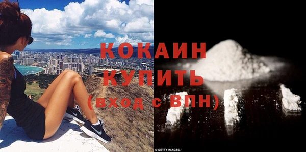 хмурый Арсеньев