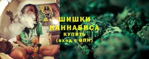 хмурый Арсеньев