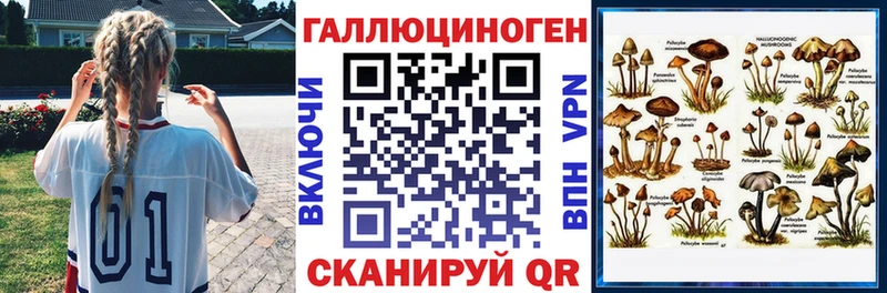 где продают наркотики  Горячий Ключ  Псилоцибиновые грибы Magic Shrooms 
